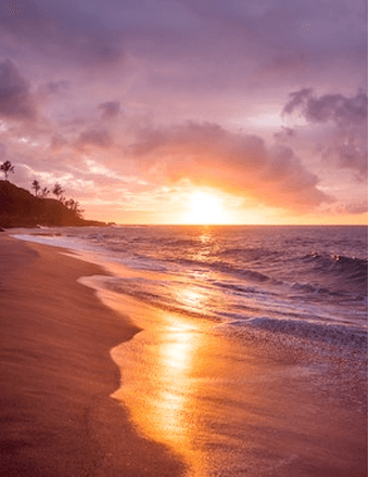 Lois Mary Cook Obituary